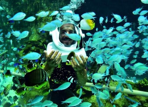 Seawalker - Water Sport