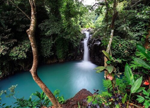 North Bali Tour with Aling-Aling waterfalls