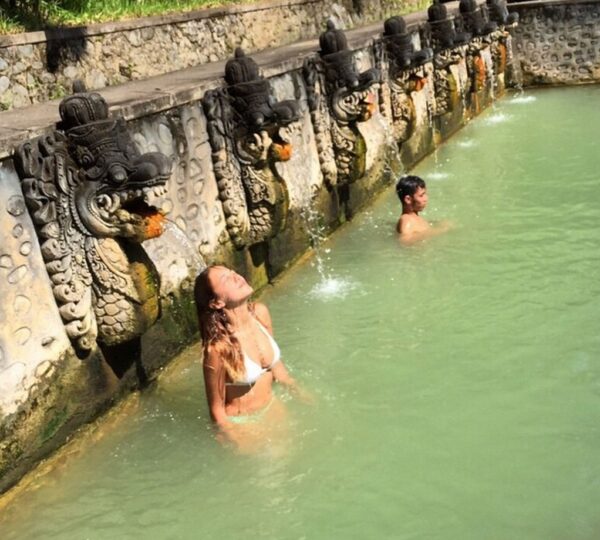 North Bali: Full Day Private Tour - Banjar Village Hot Springs