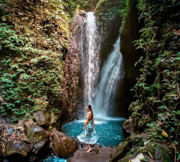 North Bali: Full Day Private Tour - Gitgit Waterfalls