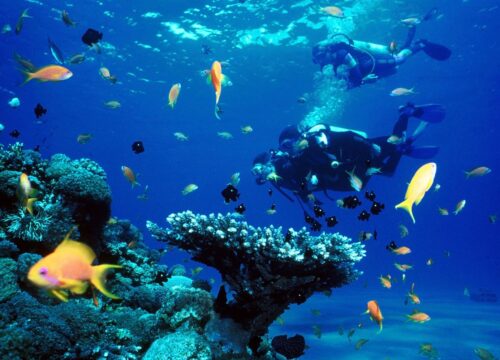 Scuba Diving at Nusa Dua - 1 Dive Session (30 mins)