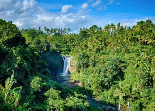 Lempuyang Temple, Gates of Heaven, Tirta Gangga Temple & Tukad Cepung Waterfall