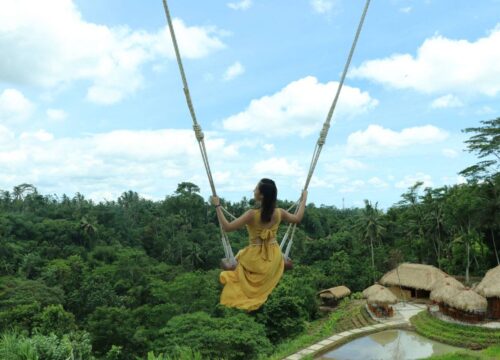 Ubud Village, Tegalalang Rice Terraces with Bali Swing and Teggunangan Waterfalls