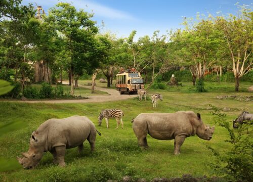 Safari World and Marine Park - Jungle Hopper Pass